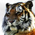 :iconmayza8888: