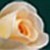 :iconmaz008: