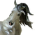 :iconmaz321:
