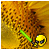 :iconmazeface: