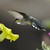 :iconmbvasanthan: