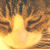 :iconmc-crow: