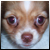 :iconmc-stocks: