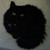 :iconmcauliffe:
