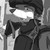 :iconmcbeowulf-the-fox: