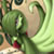 :iconMcCloud86: