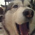 :iconmccoymao: