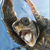 :iconmcd324: