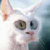 mcDarius :iconmcdarius: