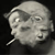 :iconmcdbrd: