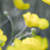 :iconmcgrowan:
