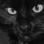 :iconmchez: