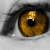:iconmckennakay: