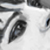 :iconmclean-kun: