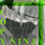 :iconmclizard: