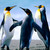 :iconmcluven15: