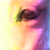:iconmcmahonequine: