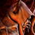 :iconmcq23: