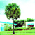 :iconmcskankypants: