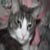 :iconmctool: