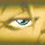 :iconmcyellow: