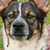 :iconmd9330: