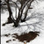 :iconmd981: