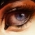 :iconMDinnerParty723: