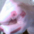 :iconmdlfngr2u: