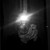 :iconmdlingherphotografic:
