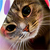:iconmdmalo: