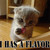 :iconmdummitt26: