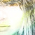 :iconmdunpeal: