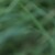 :iconme-either: