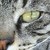 :iconme0wchi: