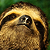 :iconme0wcifer: