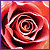 :iconme3009: