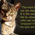 :iconmeadowgladeofpeace:
