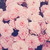Meanchaa :iconmeanchaa:
