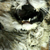 :iconmeanders:
