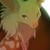 :iconmearuswagtail:
