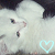 :iconmeatthedisco: