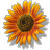 mebemishy :iconmebemishy: