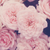 :iconmechanicalblue: