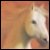:iconmedallion-of-pain: