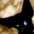 :iconmeddi72: