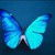 :iconmedearm: