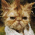 :iconmedicatedmileage: