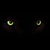 :iconmedicinewolfeyes: