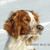 :iconmedifrett95: